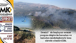 Denizli'deki orman yangını söndürüldü