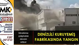 Denizlili kuruyemiş firmasında yangın!