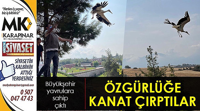 Özgürlüğe kanat çırptılar