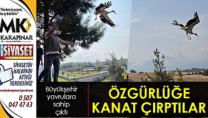 Özgürlüğe kanat çırptılar