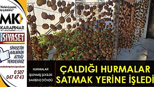 Çaldığı hurmaları satmak yerine işledi