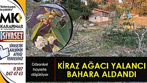 Kiraz ağacı yalancı bahara aldandı