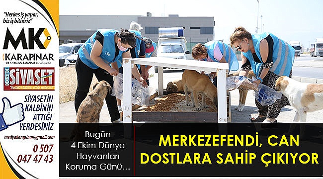 Merkezefendi, can dostlara sahip çıkıyor
