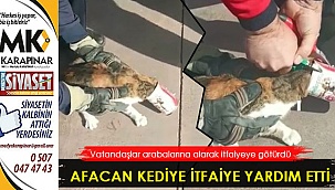 Afacan kediye itfaiye yardım etti