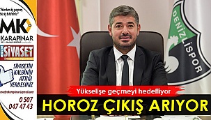 Horoz çıkış arıyor
