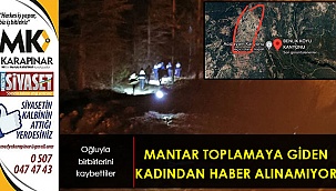 Mantar toplamaya giden kadından haber alınamıyor