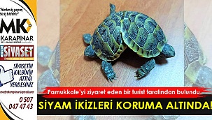 Siyam ikizleri koruma altına alındı