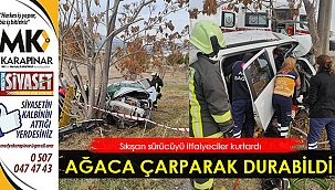 Sürücü ağaca çarparak durabildi