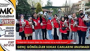 Genç gönüllüler sokak canlarını unutmadı
