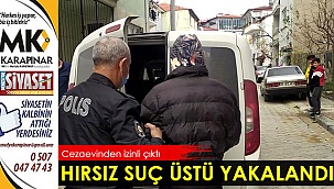 Hırsız suç üstü yakalandı