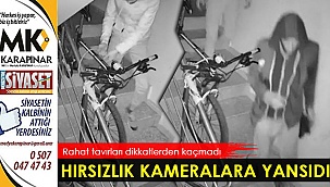 Hırsızlık kameralara yansıdı