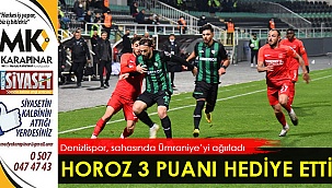 Horoz kendi sahasında kayıp