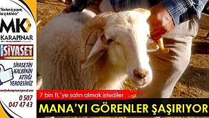 Mana'yı gören şaşırıyor