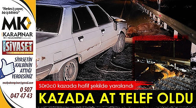 Otomobilin çarptığı at telef oldu