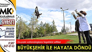 Yaban dostları Büyükşehir ile hayata döndü
