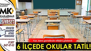 6 ilçede okullar tatil edildi