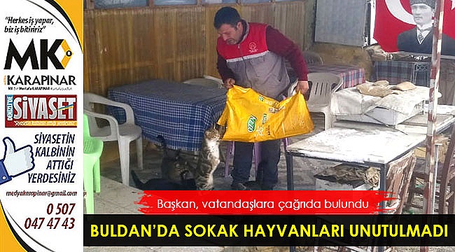 Buldan'da sokak hayvanları unutulmadı