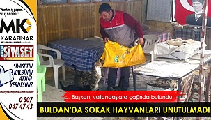 Buldan'da sokak hayvanları unutulmadı
