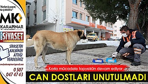 Büyükşehir can dostları da unutmadı