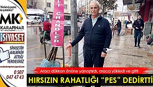 Fidan hırsızının rahatlığı 