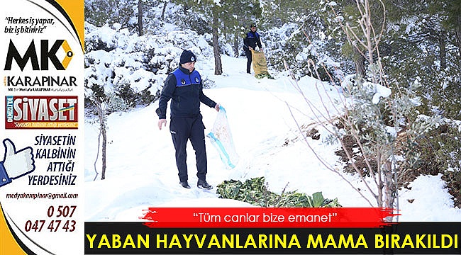 Pamukkale Belediyesi yaban hayvanlarını da unutmadı