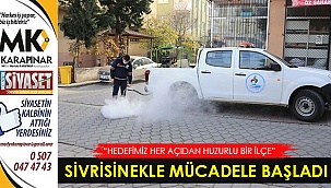 Sivrisinekle mücadele başladı
