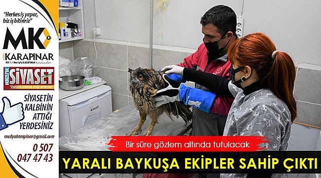 Yaralı baykuşu belediye ekipleri sahip çıktı