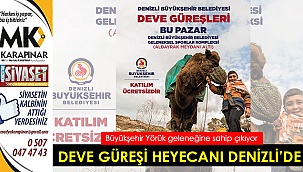 Deve güreşi heyecanı Denizli'de