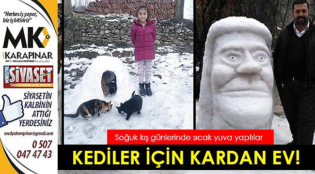 Kardan kedi evi yaptılar