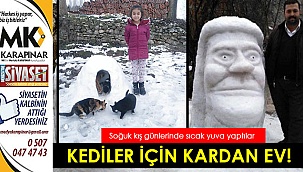 Kardan kedi evi yaptılar