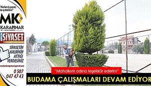 Budama çalışmaları devam ediyor