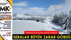 Etkili yağış sonrası seralar zarar gördü