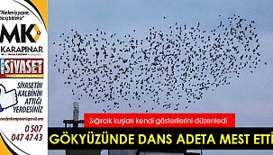 Gökyüzünde dans adeta mest etti