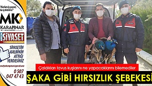 Şaka gibi hırsızlık şebekesi!
