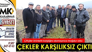 Sattıkları üzümün parasını 7 aydır alamadılar