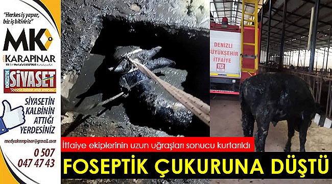 Foseptik çukuruna düştü