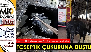 Foseptik çukuruna düştü
