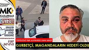 Gurbetçi, magandaların hedefi oldu