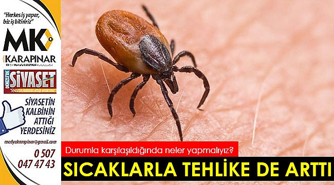 Sıcaklarla tehlike de arttı