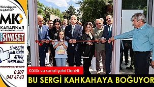 Bu sergiye gelenler kahkahalara boğuluyor