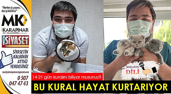 Bu kural hayat kurtarıyor