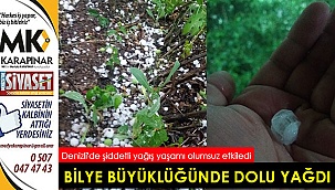  Denizli'de şiddetli yağış yaşamı olumsuz etkiledi