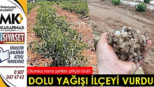 Dolu yağışı ilçeyi vurdu
