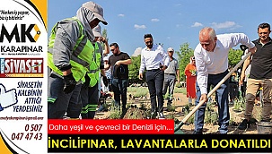İncilipınar, lavantalarla donatıldı