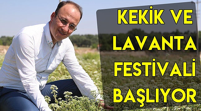 Kekik ve Lavanta Festivali başlıyor