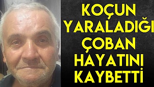 Koçun yaraladığı çoban hayatını kaybetti