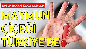 Maymun çiçeği Türkiye’de!