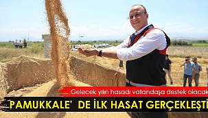 Pamukkale'de ilk hasat gerçekleşti