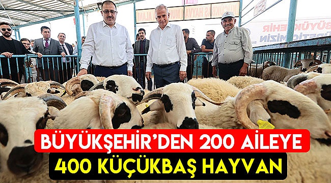 Büyükşehir’den 200 aileye 400 küçükbaş hayvan