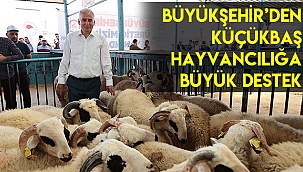 Büyükşehir’den küçükbaş hayvancılığa büyük destek